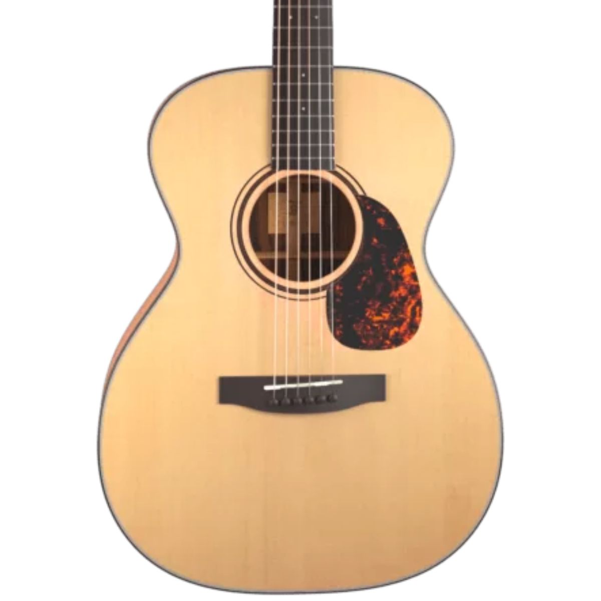 Acoustic Guitars