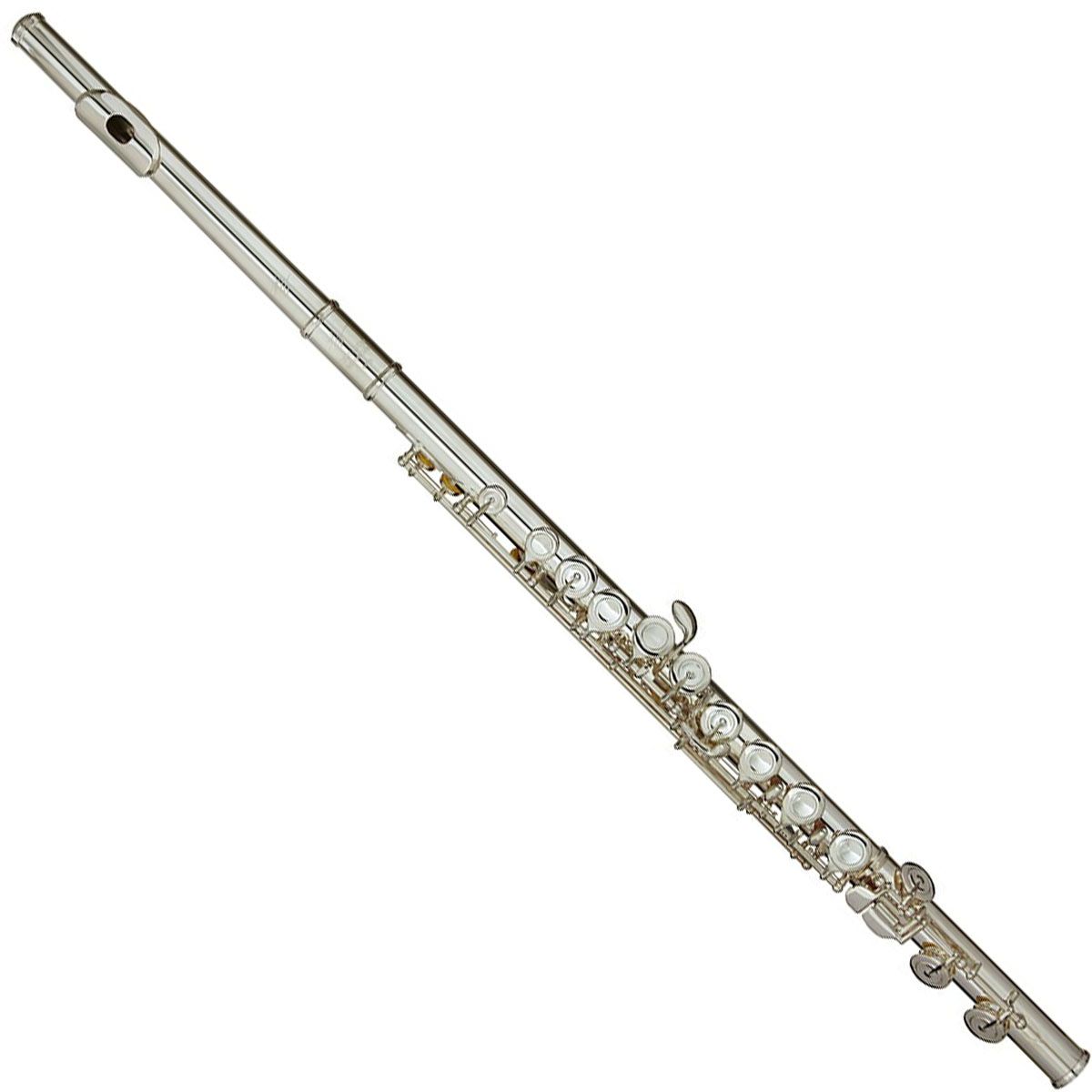 Flutes and Piccolos