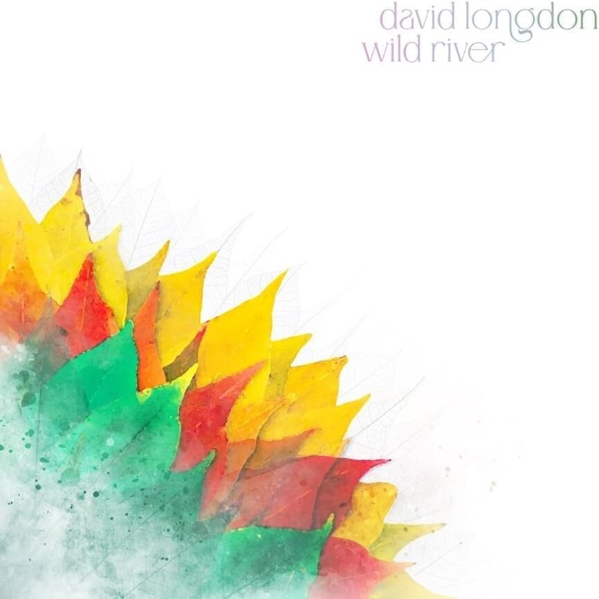 David Longdon - Wild River  - 2LP Vinyl