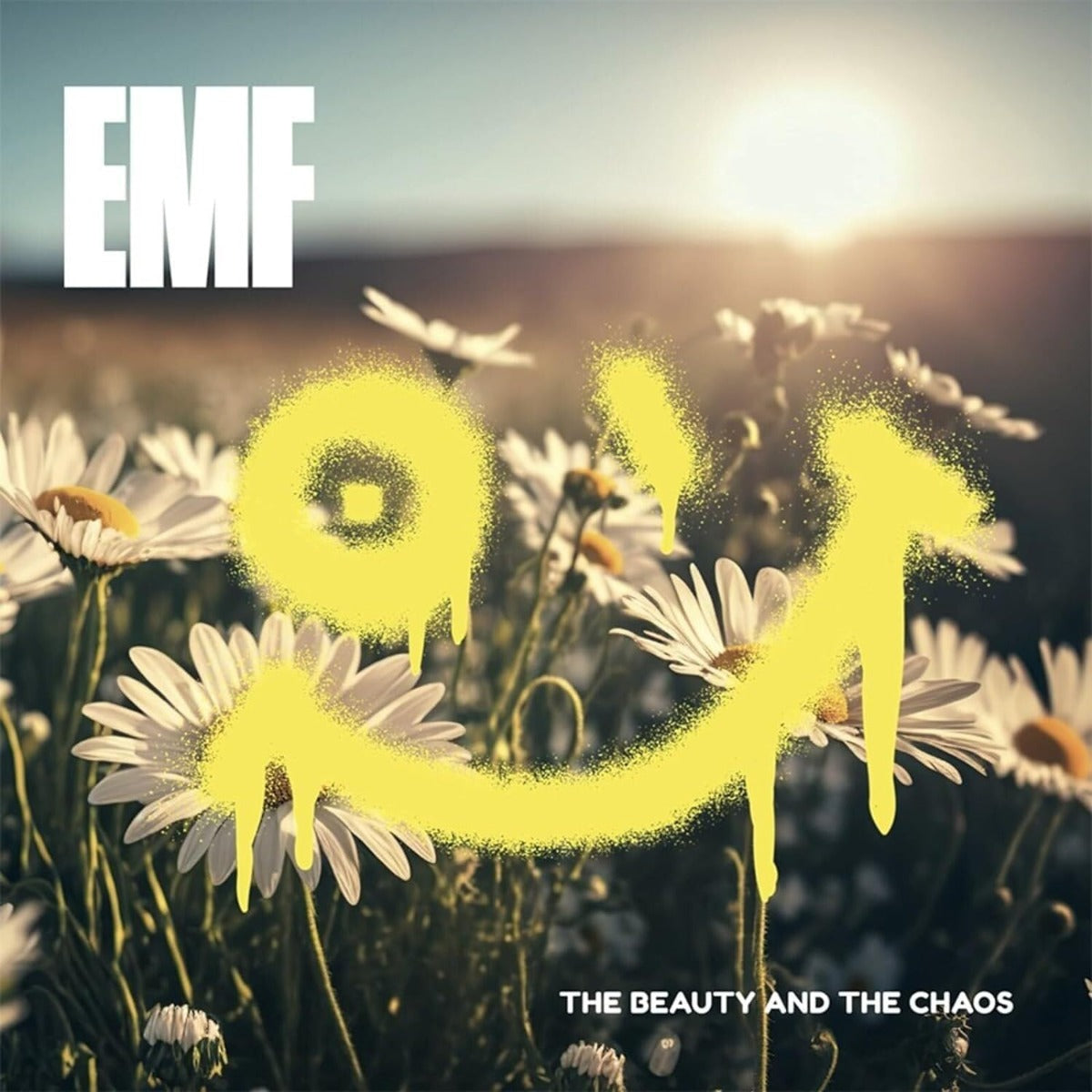 Emf - The Beauty And The Chaos - Vinyl