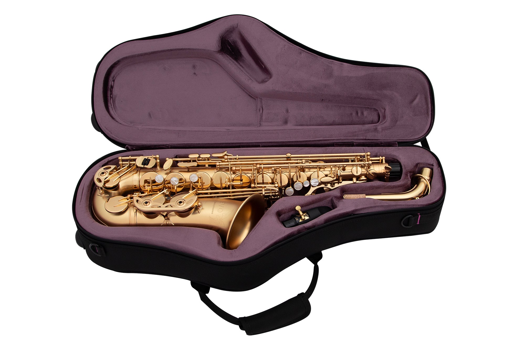 Trevor James EVO Alto Saxophone - Gold Lacquer