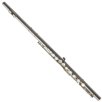 Trevor James TJ5X Student Flute Outfit