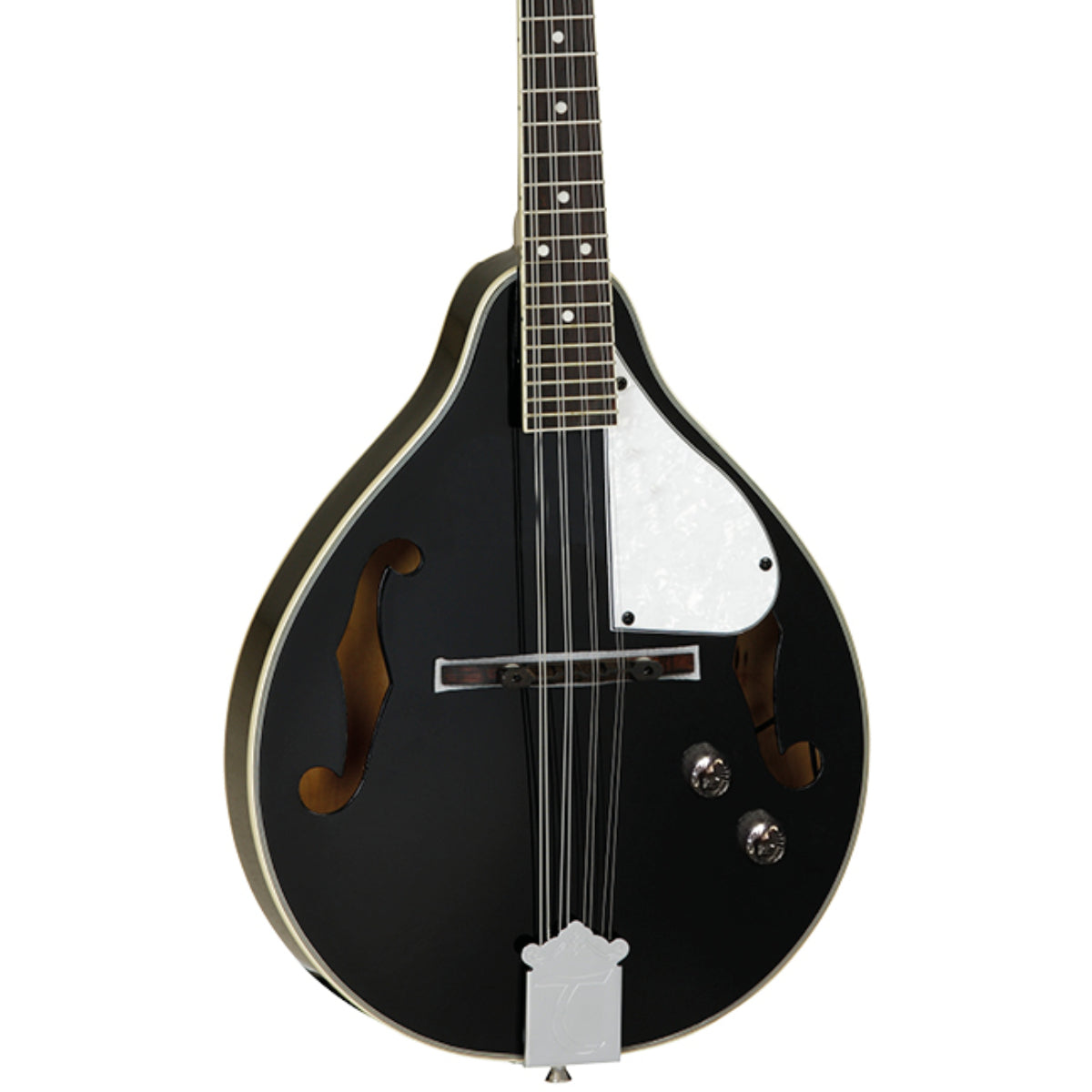 Tanglewood TWMTBKPE Mandolin F Hole Black