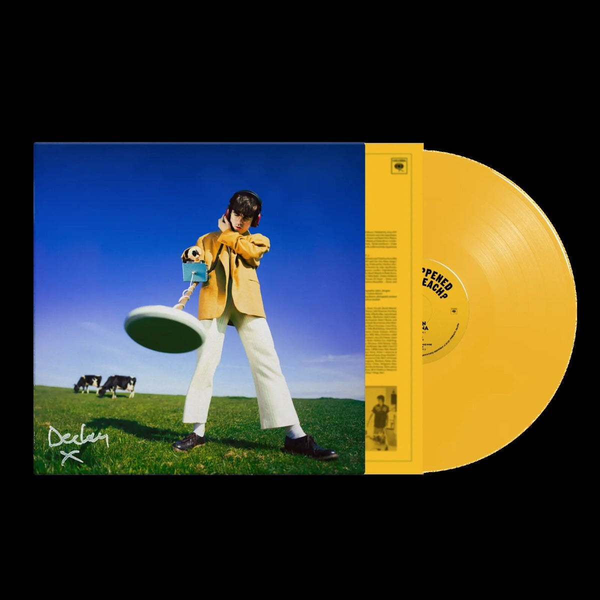 Declan Mckenna - What Happened To The Beach - Indie Exclusive Yellow Vinyl