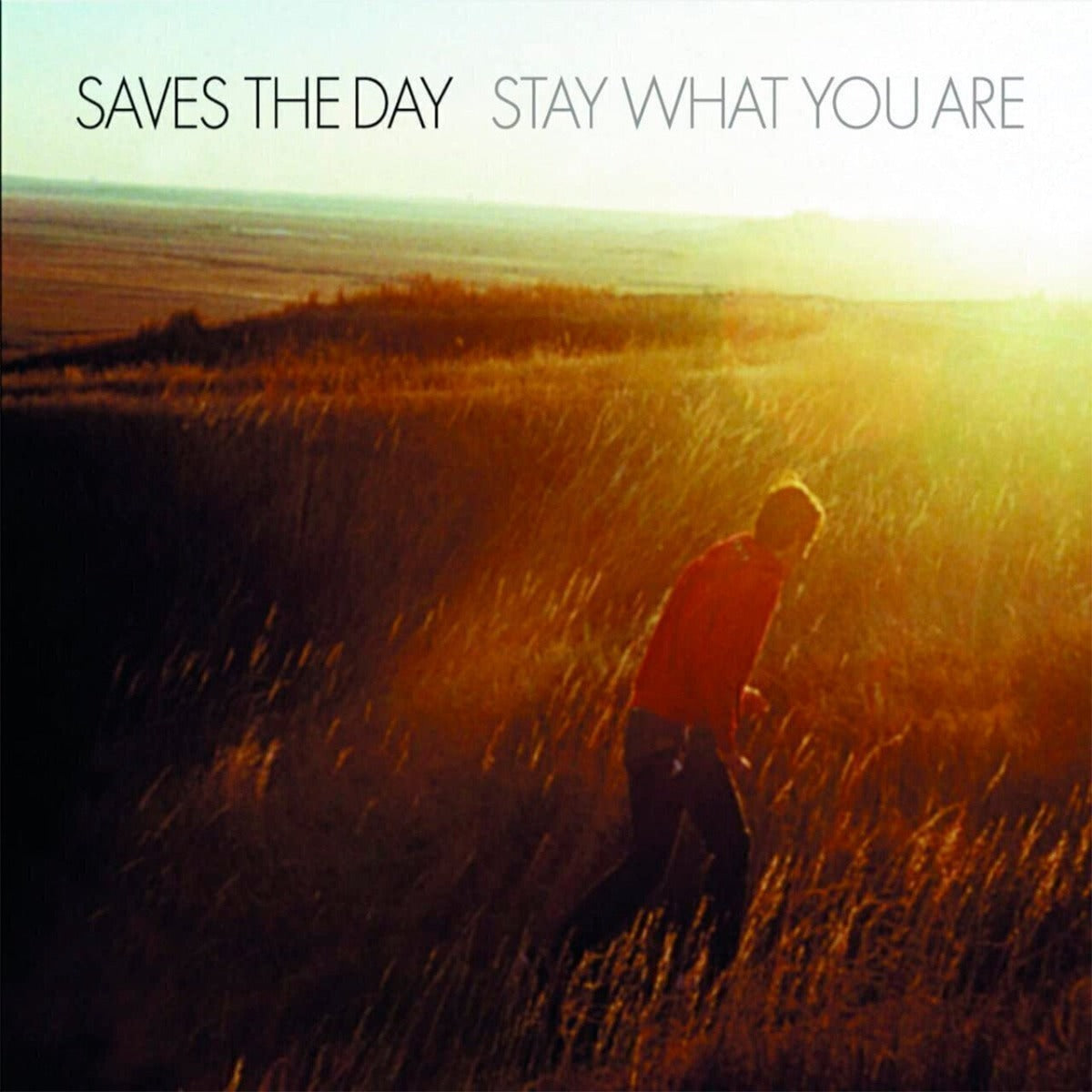 Saves The Day - Stay What You Are - 25th Anniversary 10'' 2LP Vinyl