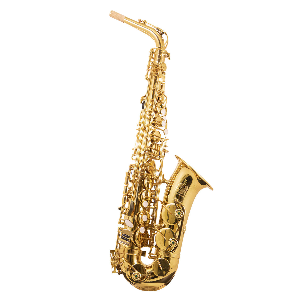 Trevor James 3730G The Horn Alto Sax Outfit, Gold Lacquer