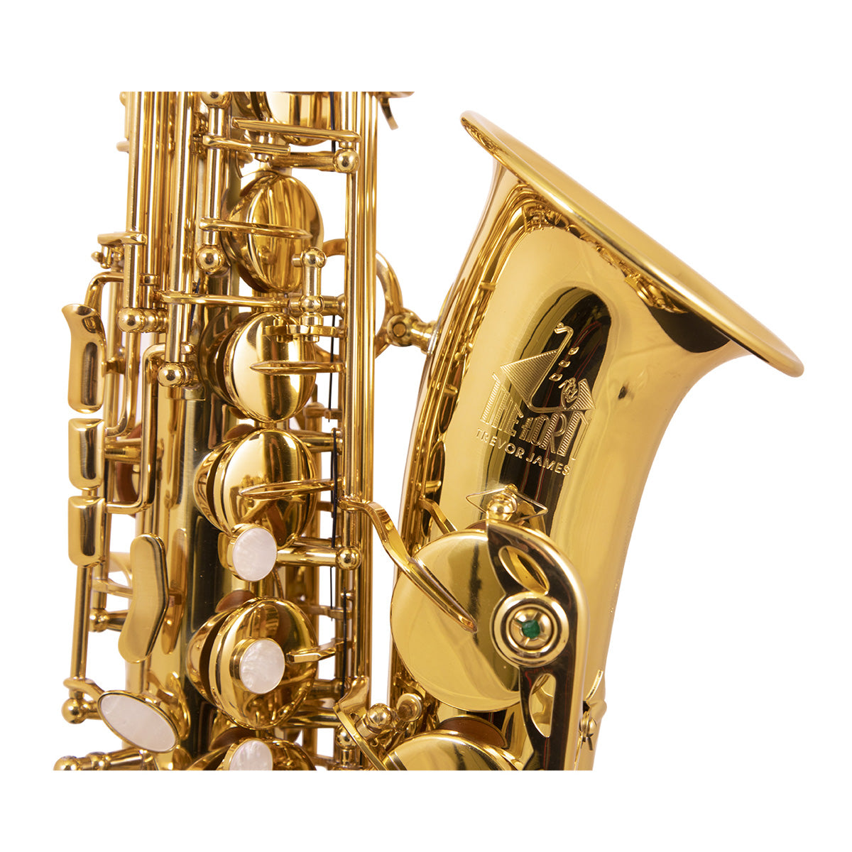 Trevor James 3730G The Horn Alto Sax Outfit, Gold Lacquer