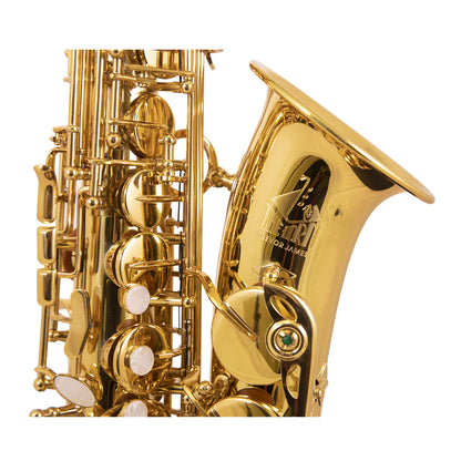 Trevor James 3730G The Horn Alto Sax Outfit, Gold Lacquer