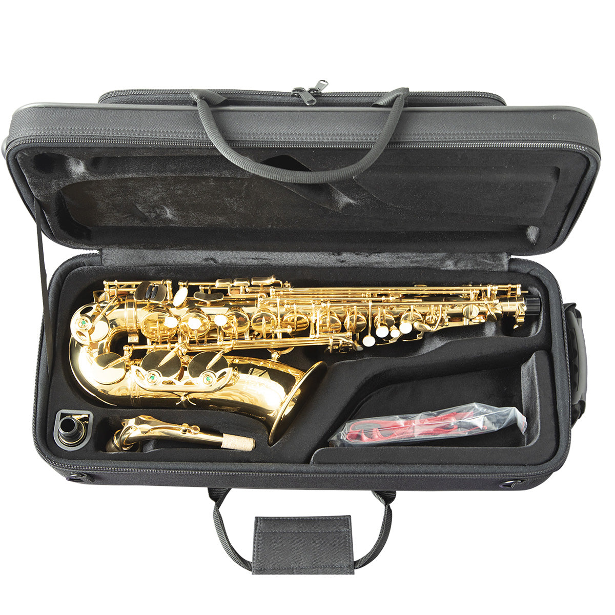 Trevor James 3730G The Horn Alto Sax Outfit, Gold Lacquer