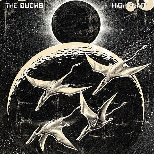 Ducks - High Flyin - 3LP Vinyl