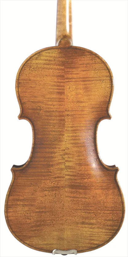 Eastman Young Master Violin, Gold Set up