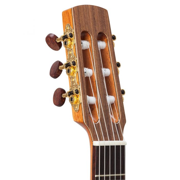 Nylon-String  Acoustic Guitar