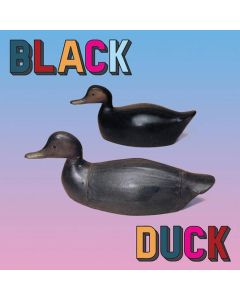 Black Duck - Black Duck - Indie Exclusive Orange Vinyl