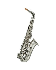 Artemis A1 Alto Sax Outfit, Silver Plated