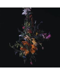 Big Brave - Nature Morte - Indie Exclusive Lavender Coloured Vinyl
