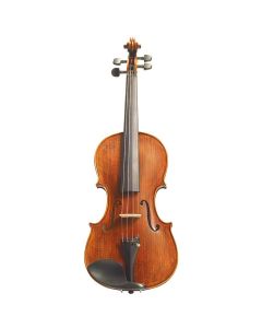 Stentor Arcadia Violin, Full Size (1880A)