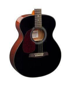 Brunswick Grand Auditorium Black Gloss - Left Handed