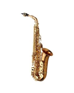 Yanagisawa AWO20 Alto Saxophone - Bronze
