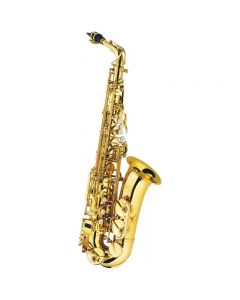 J Michael Alto Saxophone Outfit