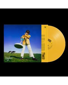 Declan Mckenna - What Happened To The Beach - Indie Exclusive Yellow Vinyl