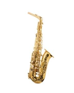 Trevor James 3730G The Horn Alto Sax Outfit, Gold Lacquer