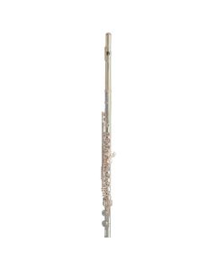 Trevor James 10XP Flute Outfit, Silver Lip and Riser