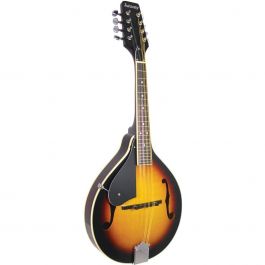 joyspring on mandolin