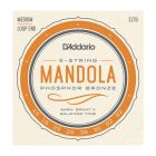 D'Addario Mandola Strings, Phosphor Bronze, Medium, 15-52